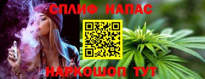 СК Моздок