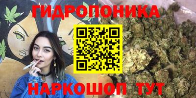 СК Моздок