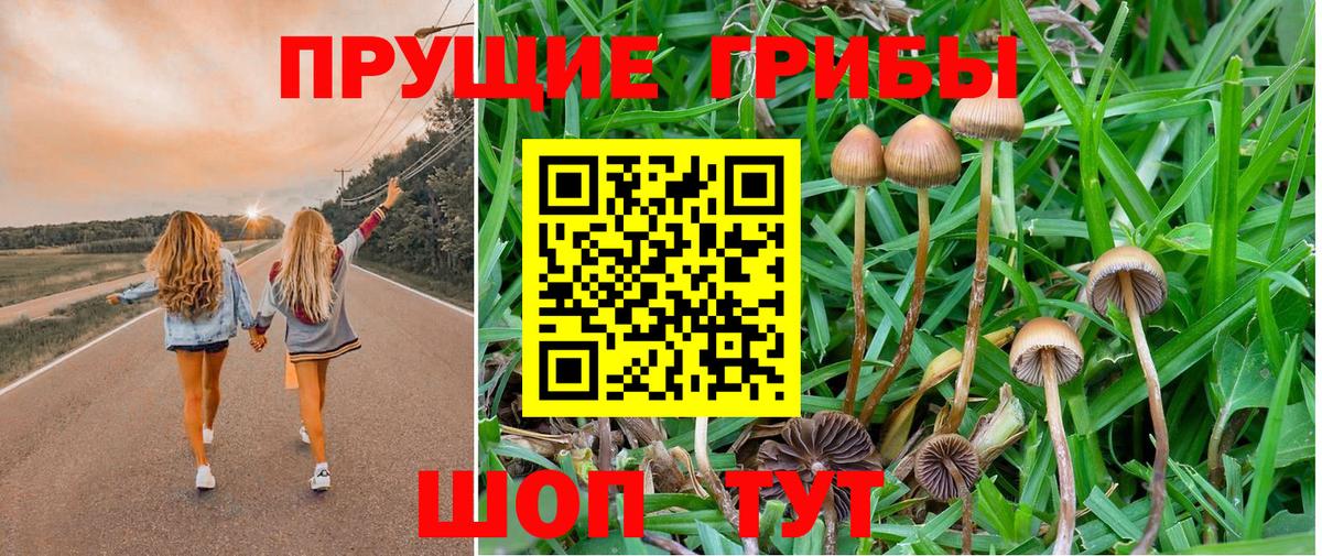 Удомля  Галлюциногенные грибы Cubensis  Псилоцибиновые грибы Psilocybine cubensis  Вход с VPN 